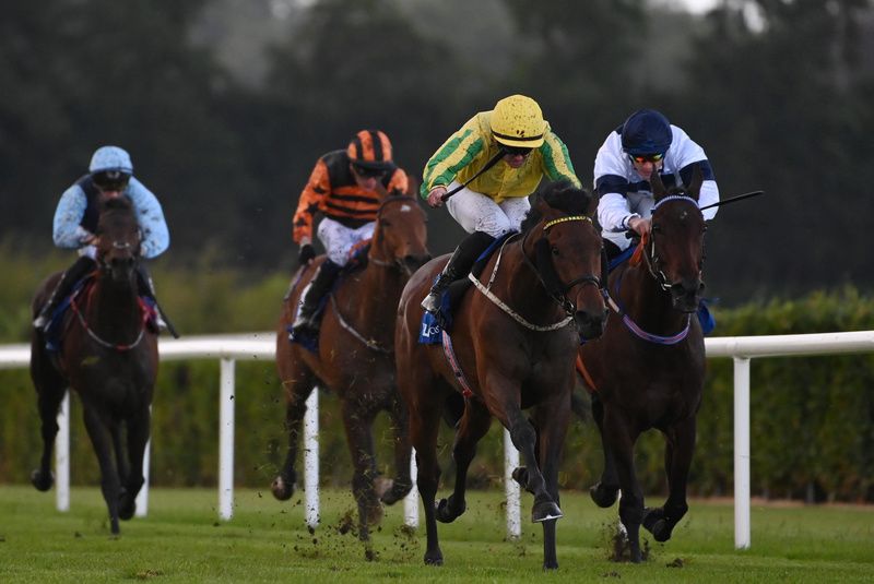 Daler (yellow) wins under Gary Carroll