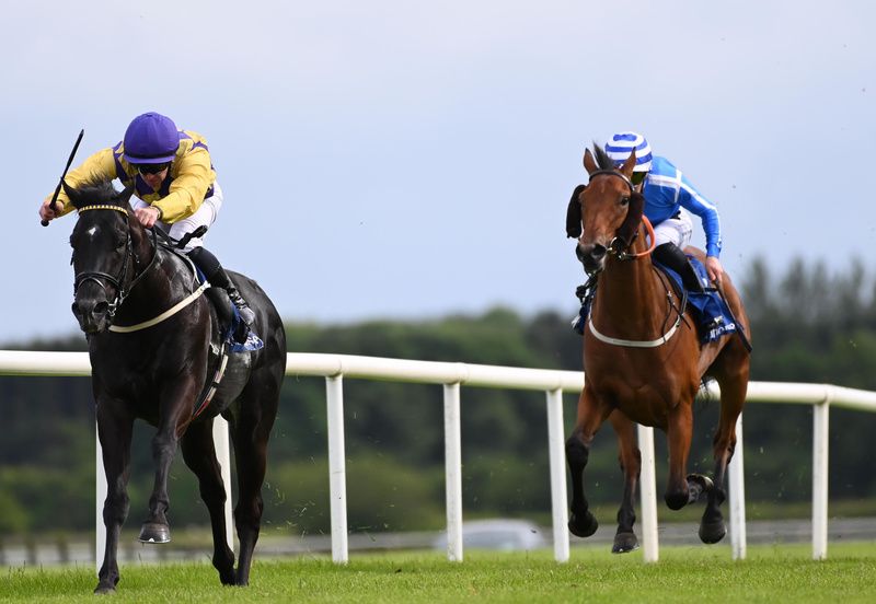 Ocean's Breath goes on from County Carlow