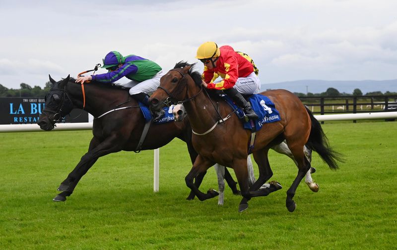 The blinkered Tango Flare sticks his neck out to deny Gazelle D'or