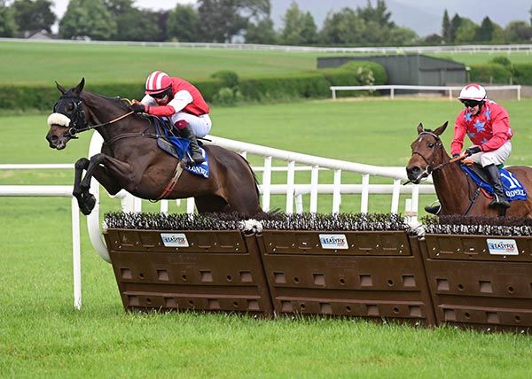 Getaway Henry (left) and Gavin Brouder