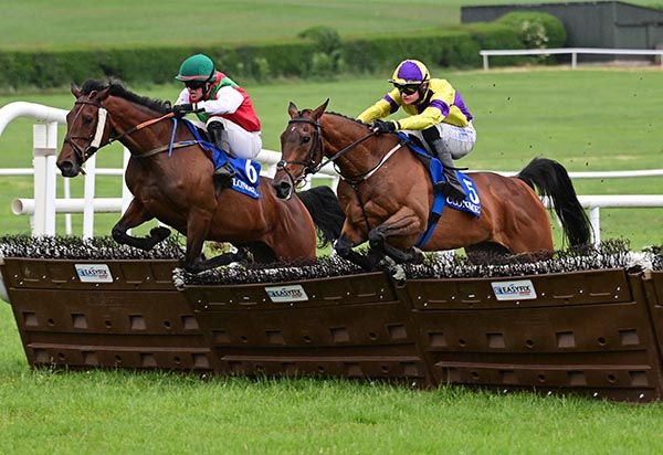Thecompanysergeant and Eoghan Finegan (near side) with Crohan Lady at the last