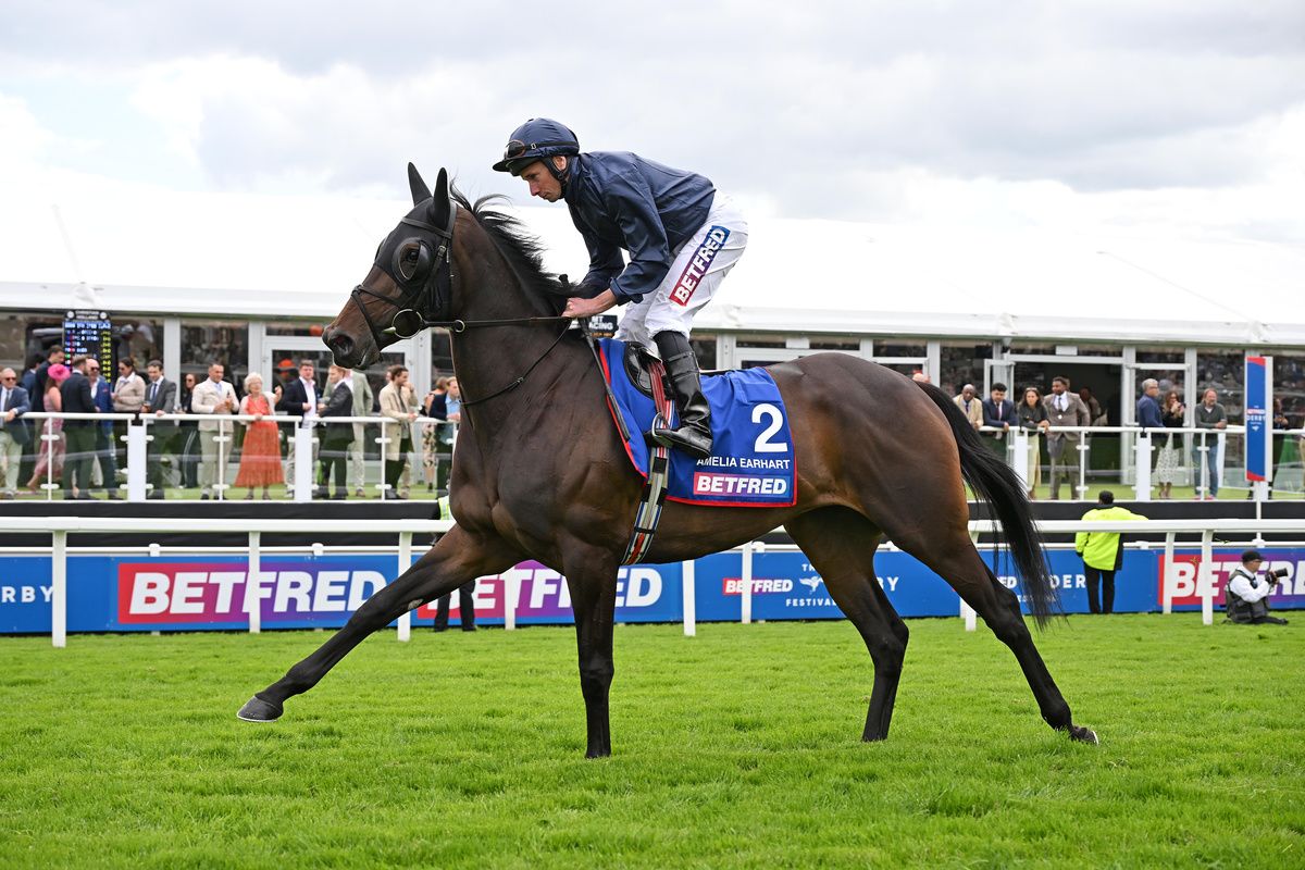 Amelia Earhart is heading to Doncaster for the Betfred St Leger