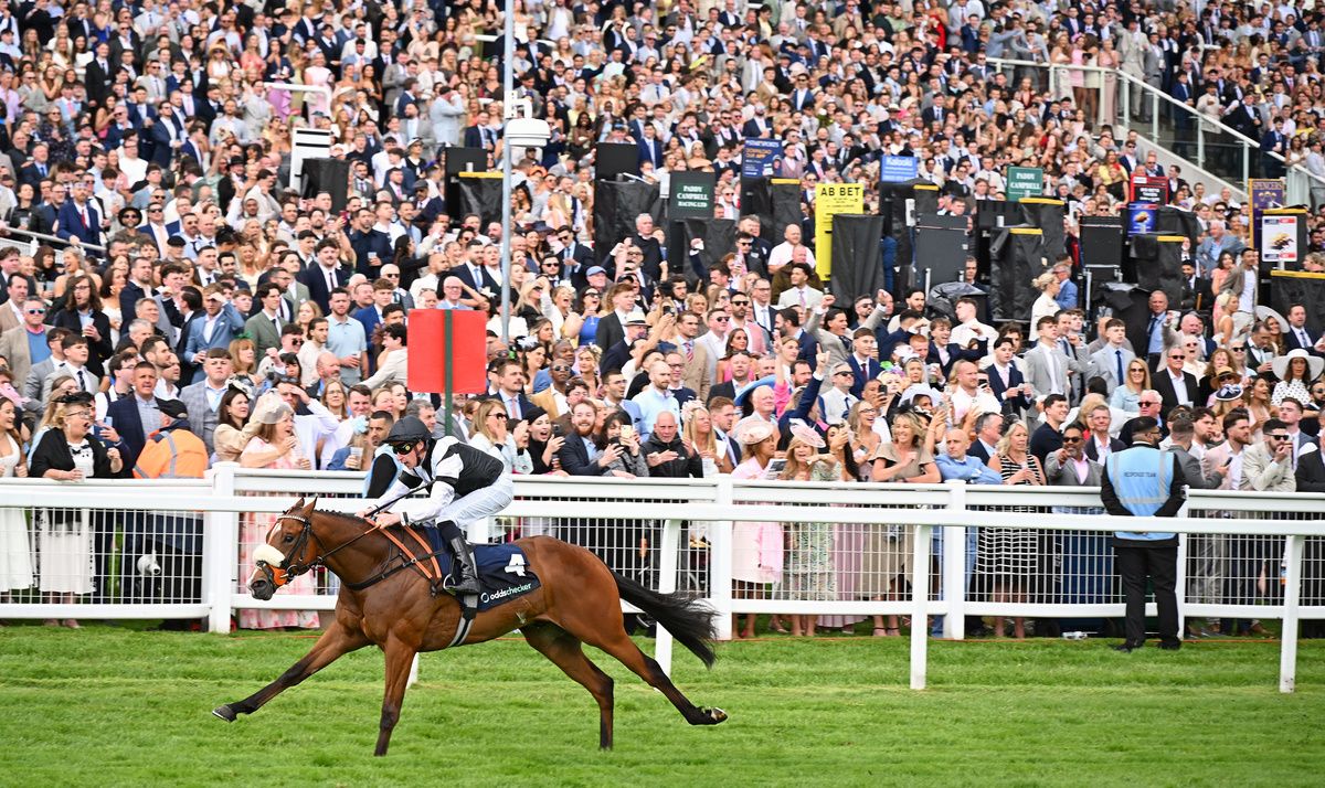 Hickory Lad set to bypass Royal Ascot 