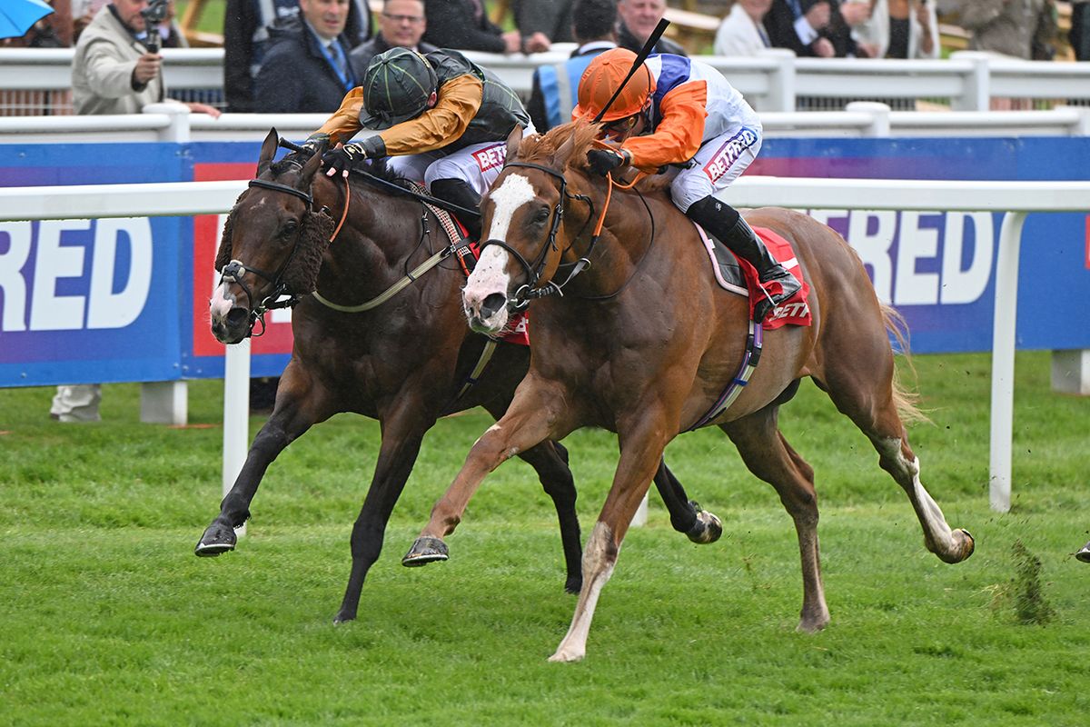 Ten Bob Tony and Kieren Shoemark (nearest) win the opener at Epsom by a head from Witness Stand 