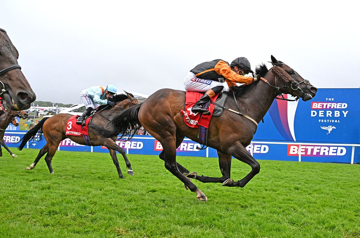 Arklow Lad and Harry Davies 