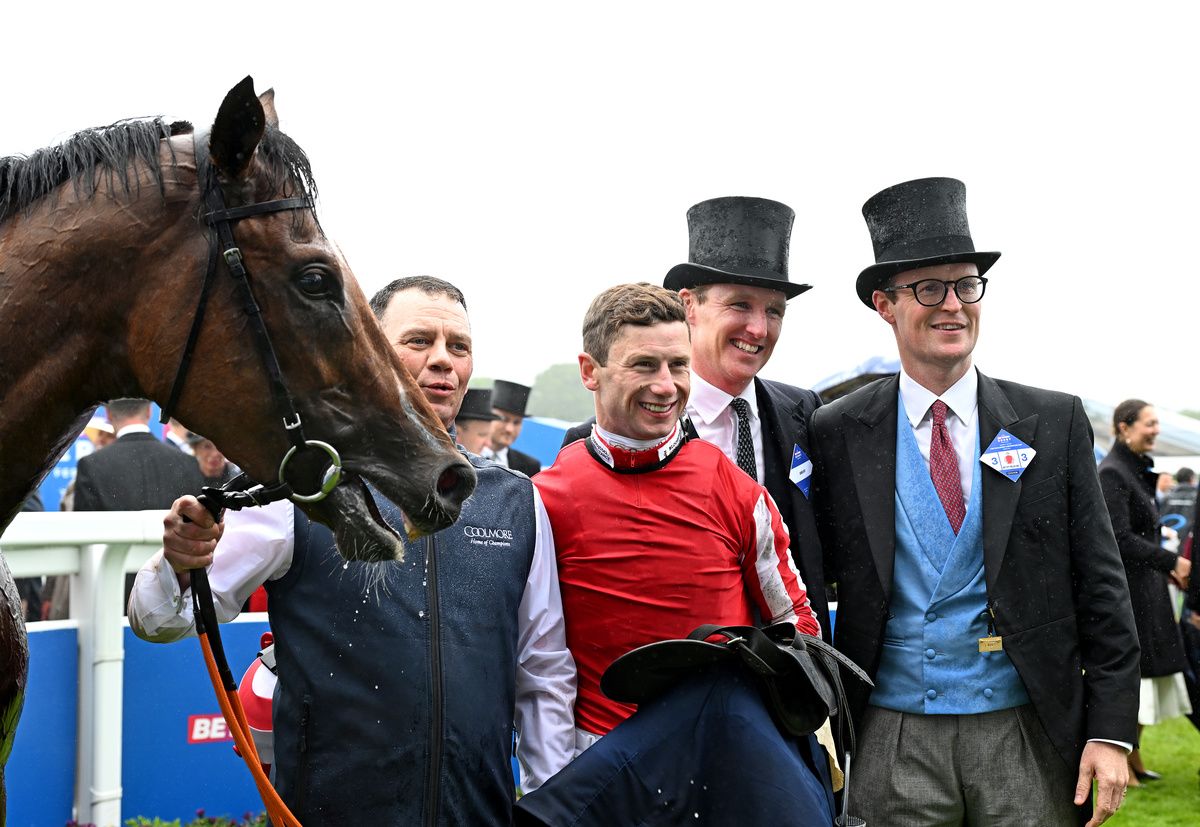 Bay City Roller with Oisin Murphy and connections