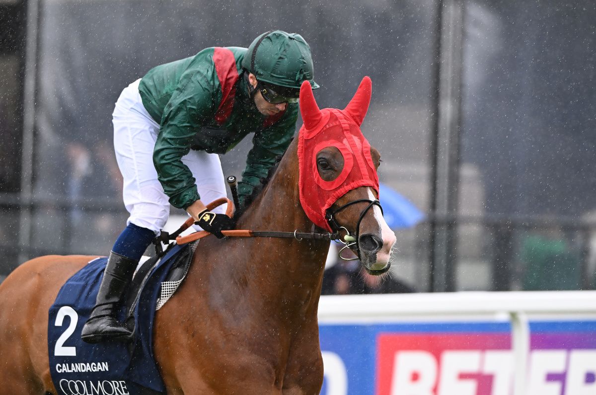 Calandagan and Mickael Barzalona