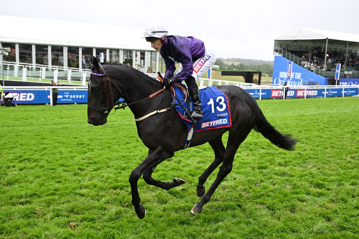 Jockey Rowan Scott has been hit with a 40-day ban