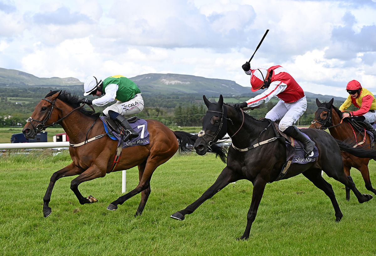Let s Go La Fichad, near side, catches Koliath De Couely 