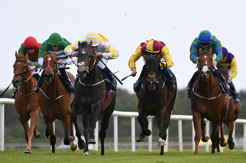 Midnight Dusk and Billy Lee (yellow and white) win for trainer Jack Foley 
