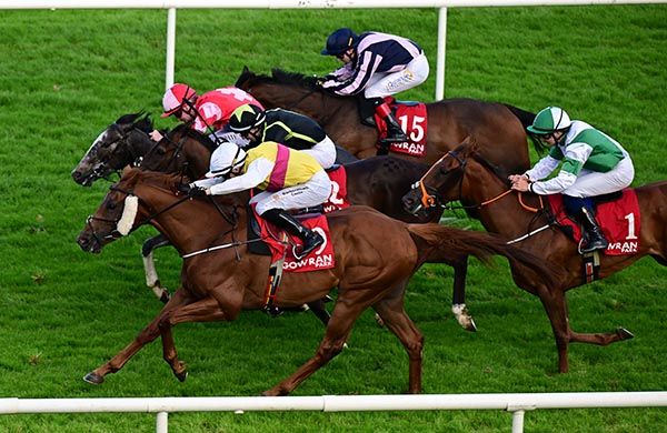 Faro Island (nearest) is up in the final stride