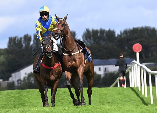 Liam McKenna brings a loose horse back to the parade ring after his win on Finnians Row at Downpatrick today
