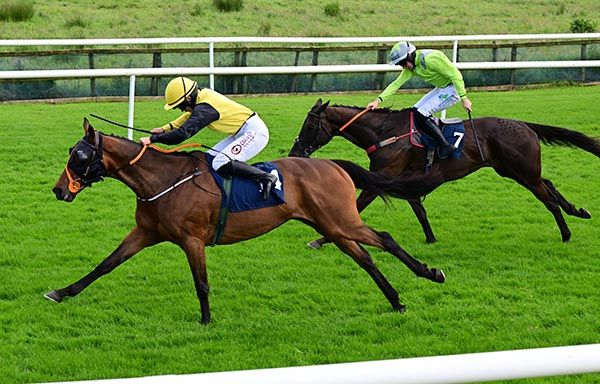Sarah Kavanagh gets Fr Gilligansvoyge home a narrow winner at Downpatrick this afternoon.