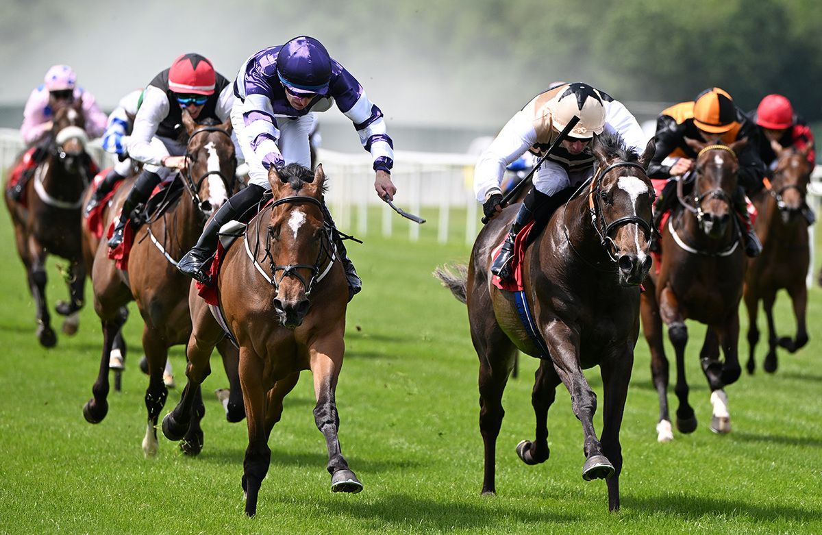 Ballinea Star (left) and Donagh O'Connor