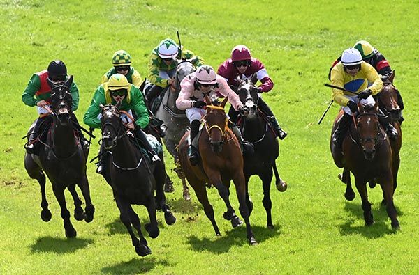 Blue Moon Boy and Conor Smithers (pink colours)