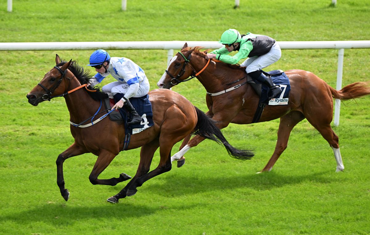 Cork 14 June 2026 Sarahmae and Joey Sheridan win for trainer Denis Hogan