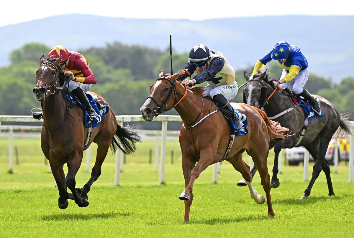 Sparan Nua (pictured winning in Cork)