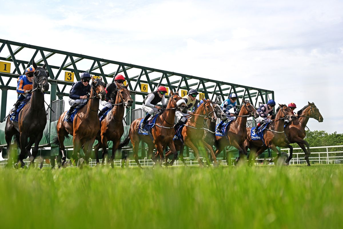 There are three stakes races at Cork this evening