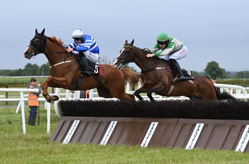 Silly Mongoose and David Doyle 