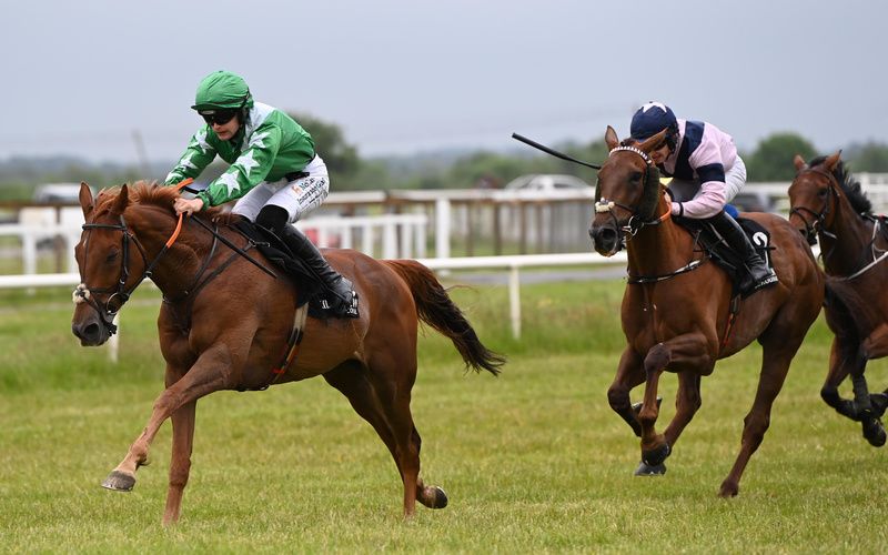 Island Mccoo and Alan O'Sullivan 