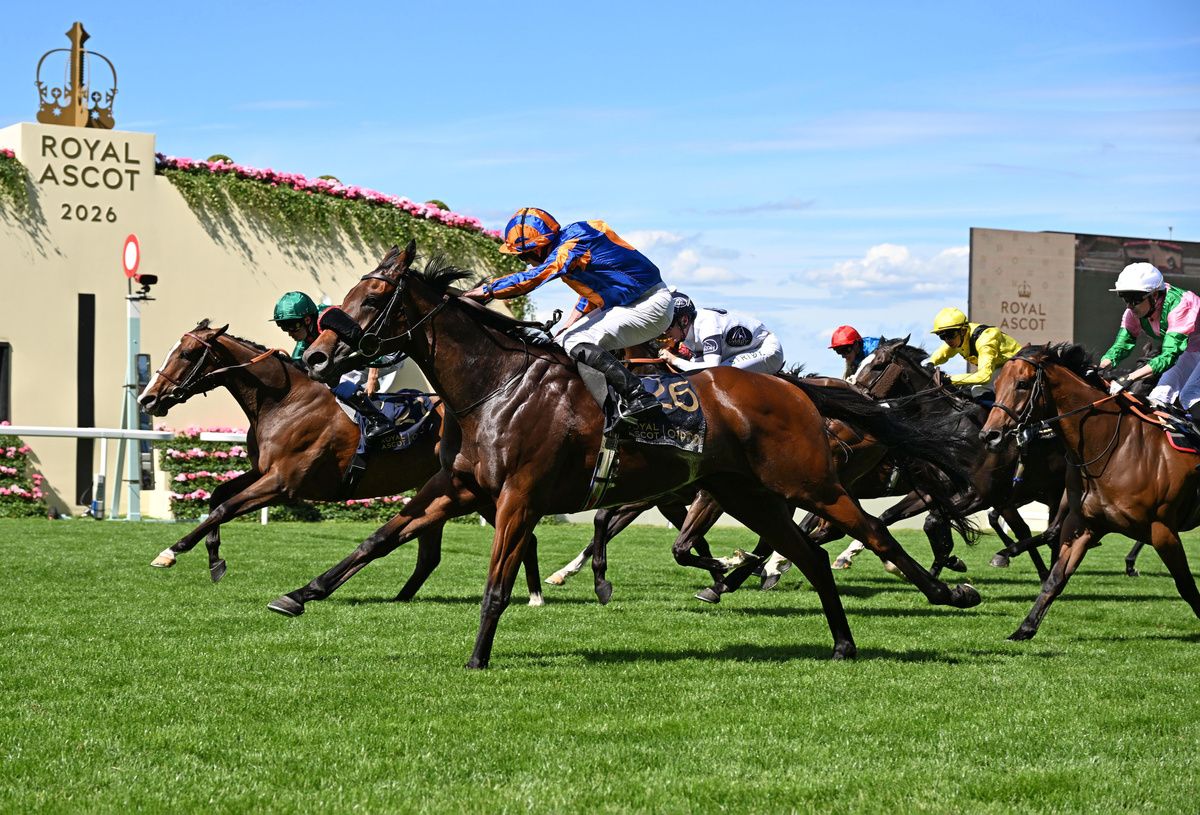 Aidan O'Brien's Royal Ascot winner Mission Central (nearest) is entered in next Friday's Nunthorpe Stakes 