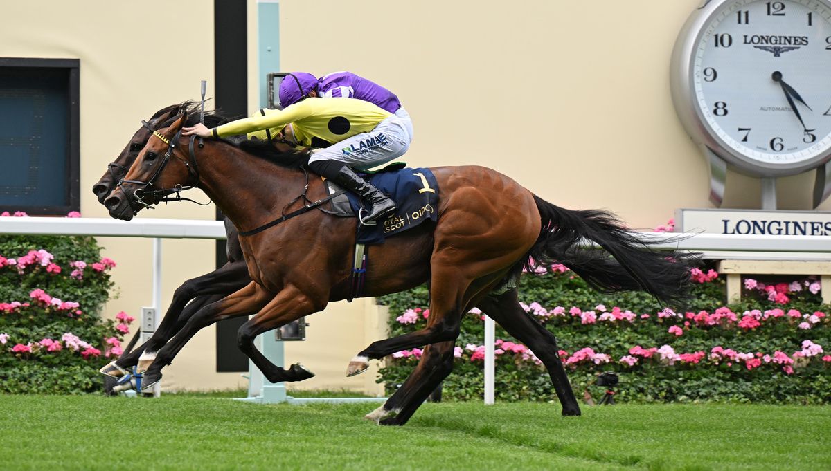 Bow Echo and Gstaad flash past the post together in the St James's Palace Stakes