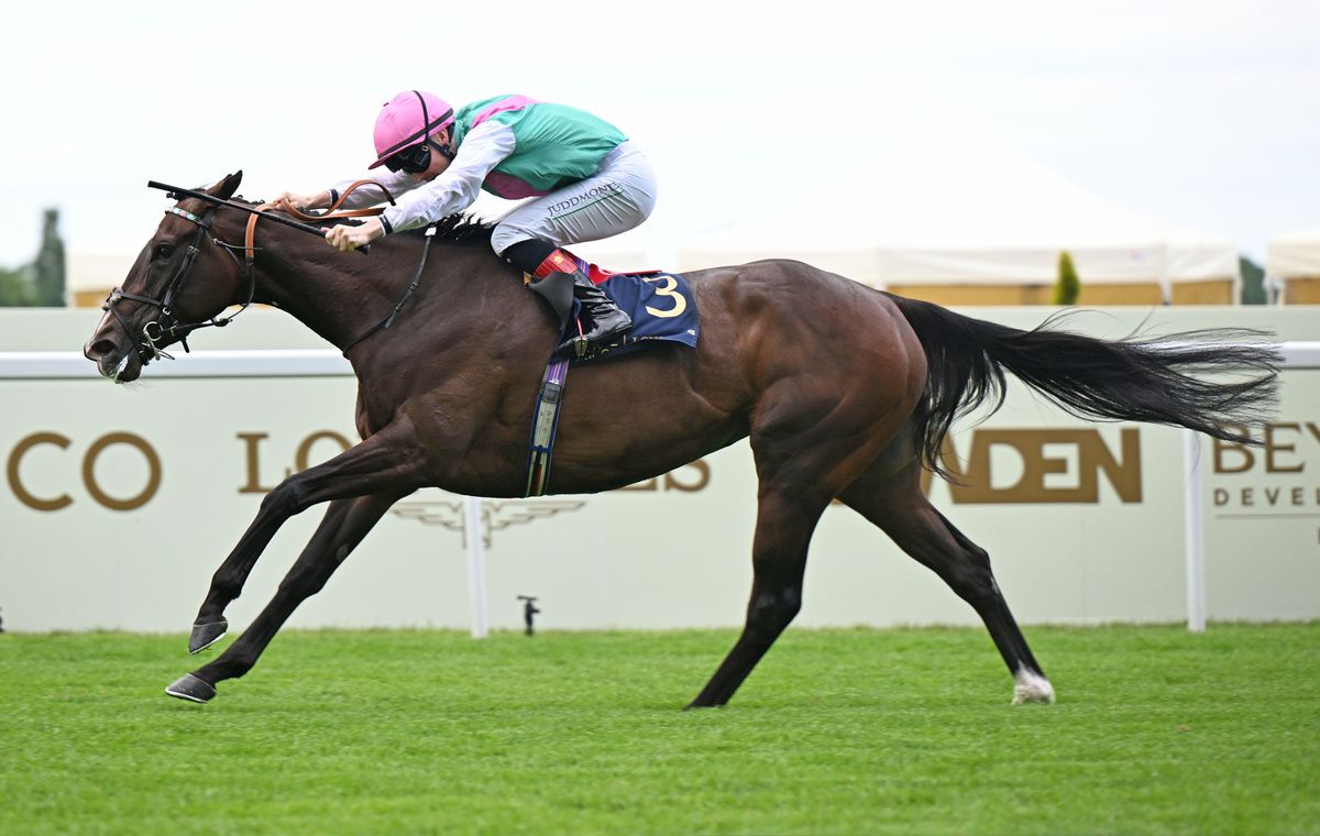 Blue Bolt and Colin Keane won the Duke Of Cambridge Stakes