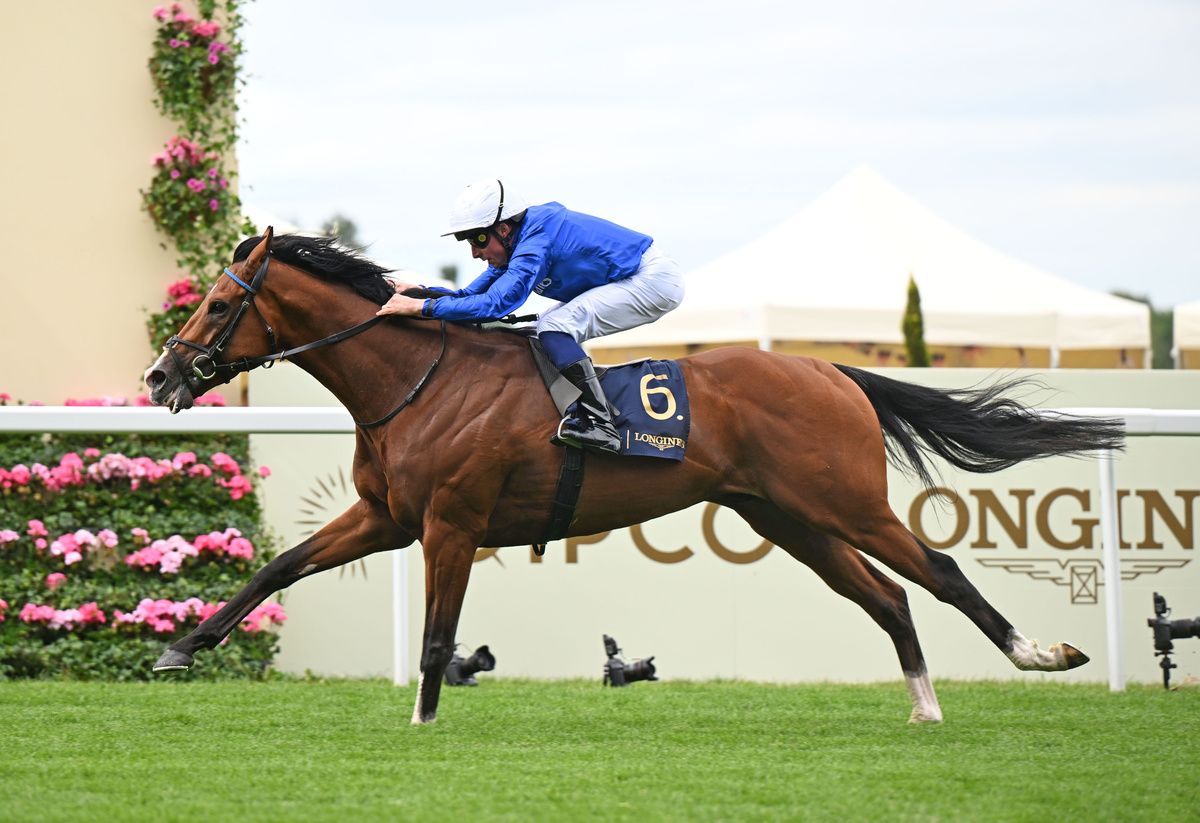Ombudsman and William Buick won the Prince Of Wales s Stakes 