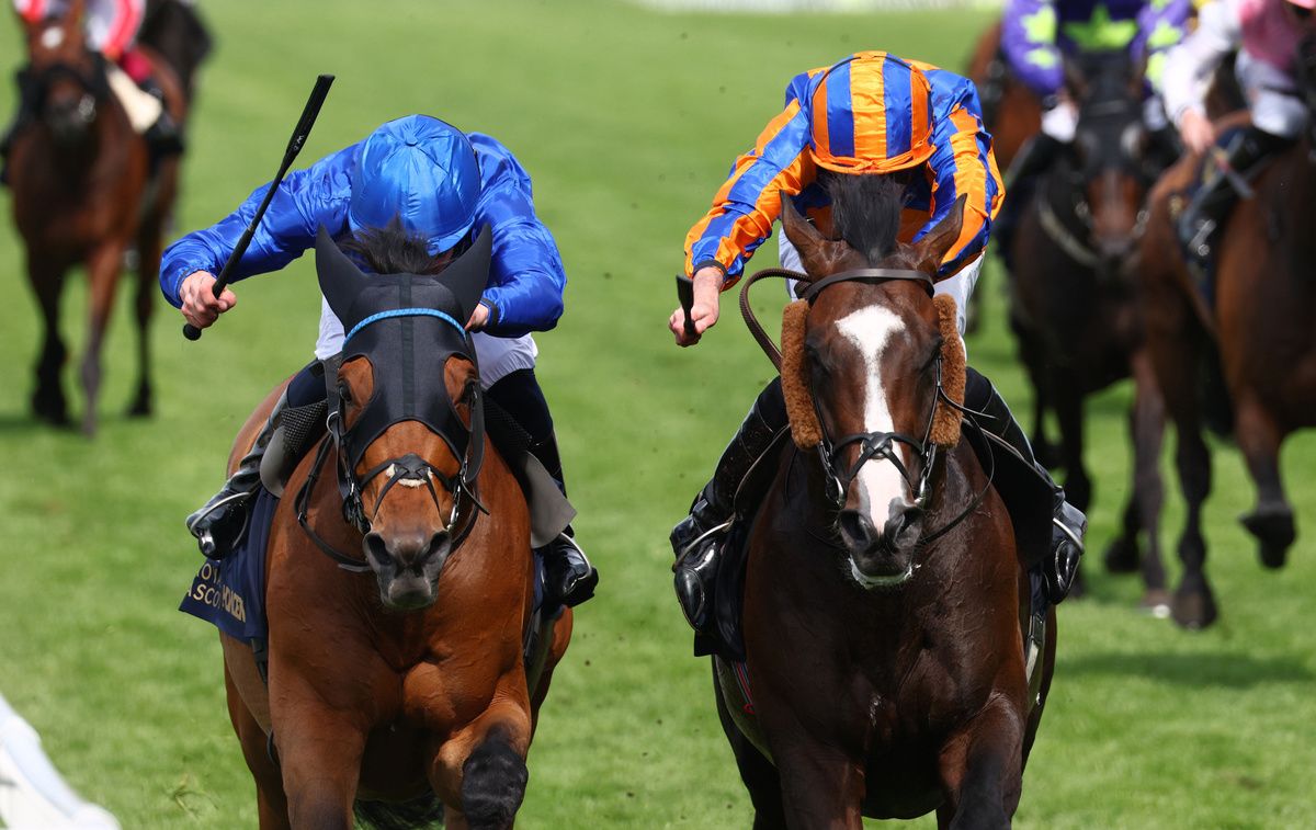 Scandinavia, right, beating Trawlerman in the Gold Cup at Royal Ascot