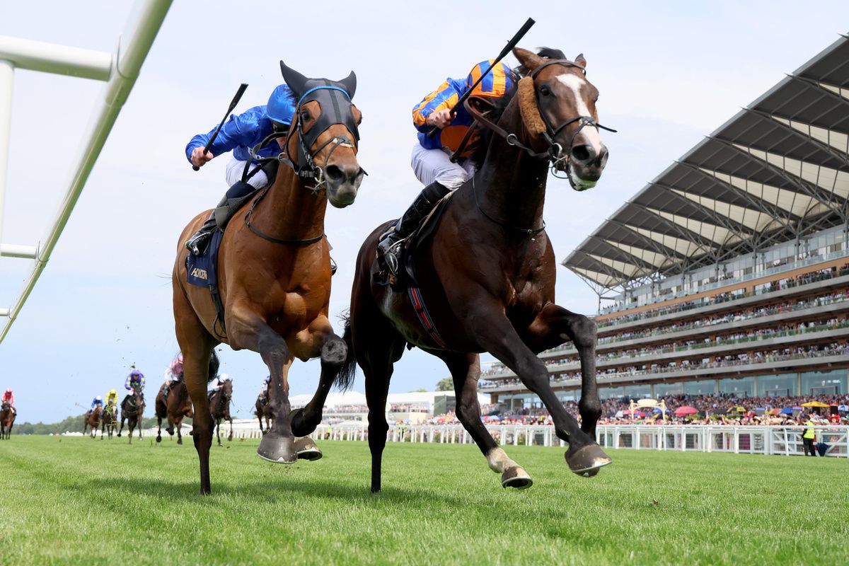 Scandinavia narrowly beating Trawlerman at Royal Ascot