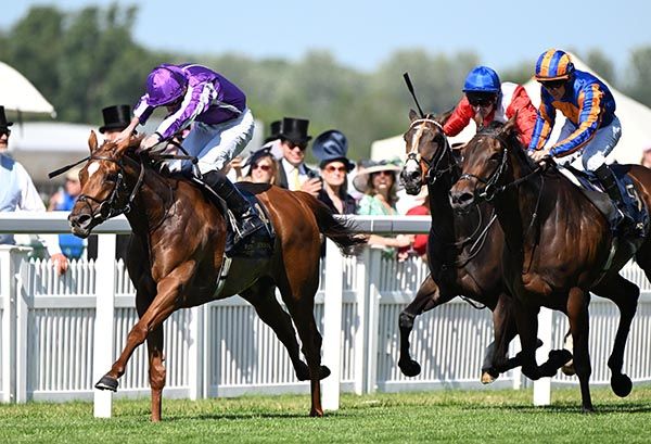 Precise and Ryan Moore