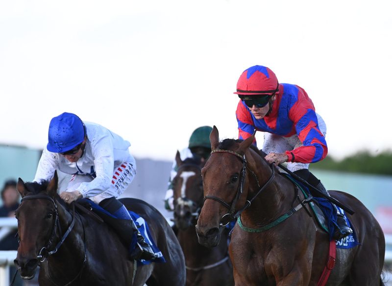 Noble Agenda, right, swoops to conquer