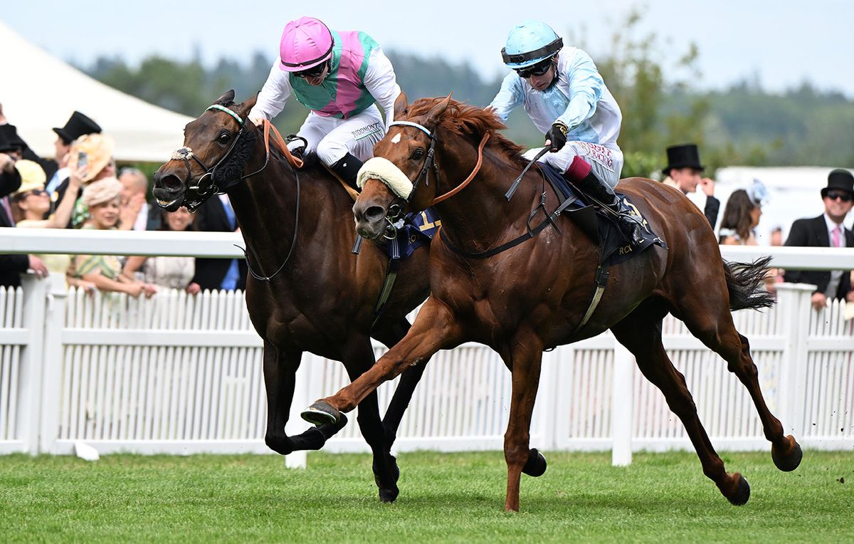 Giavellotto and Oisin Murphy (nearest) beats Kalpana 