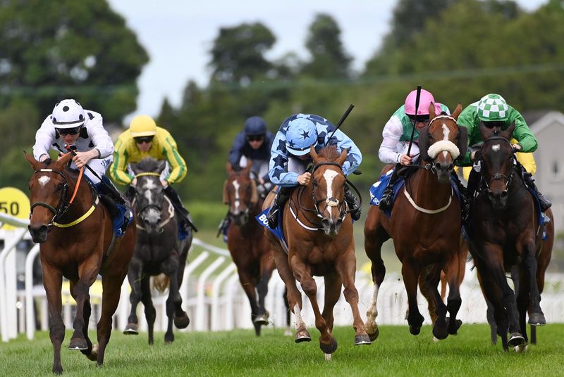 Madbadanddangerous and Gavin Ryan (white) win the Ulster Derby for trainer Noel Meade