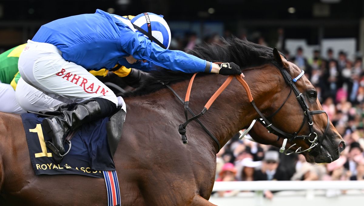 Almeraq will be in action at Haydock on Saturday
