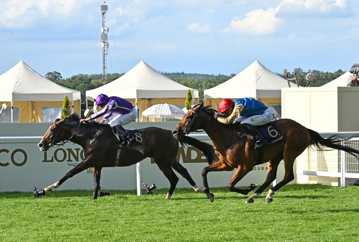 Royal Ascot 20-June-2026Illinois and Ryan Moore win from French Master for owners Coolmore and trainer Aidan O'Brien.Healy Racing