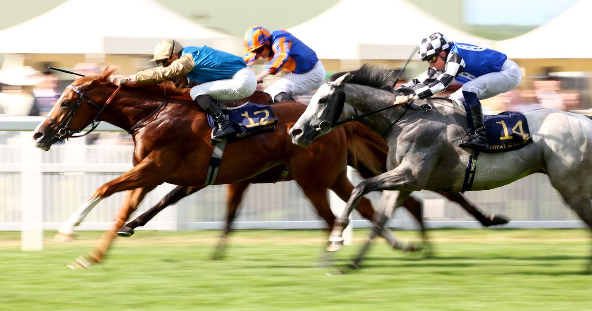 Amadeus Mozart (far side) was runner-up in last month's Golden Gate Stakes at Royal Ascot
