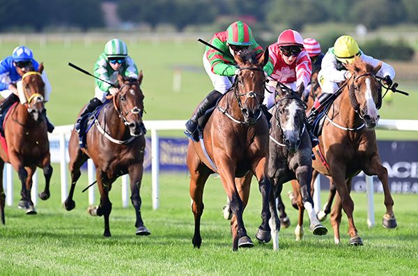 Killyclogher Rose and Sam Coen