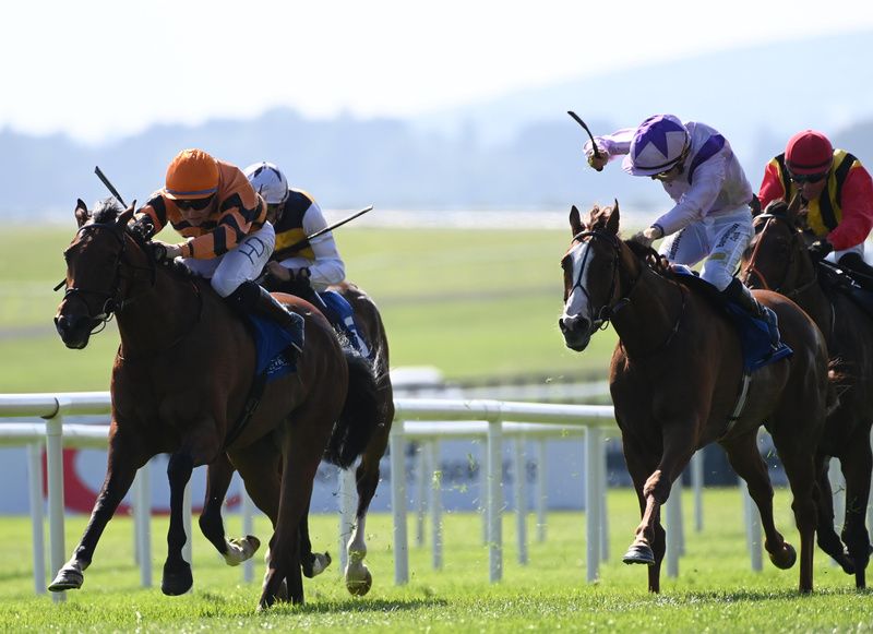 Loughrea (orange colours) holds Gliondar (white face)