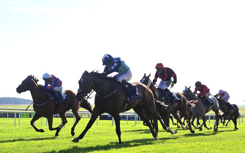 Summer Island (nearest) prevails under Oisin Murphy