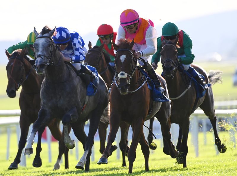 Wyman (white sleeves) comes to win under Shane Foley