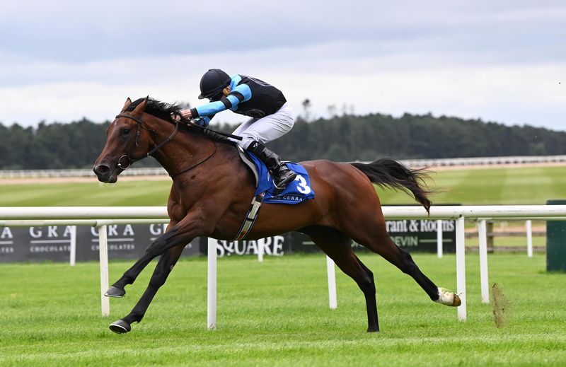 Giant Sequoia and Ryan Moore