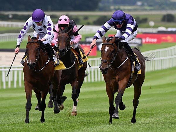 Ballinea Star and Donagh O'Connor (right), with Immortal Guard