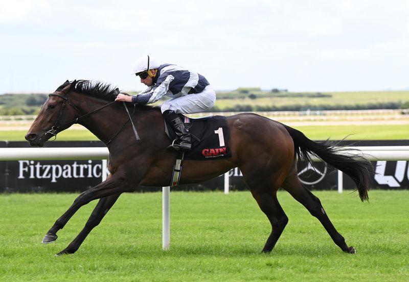 Alpha and Ryan Moore 