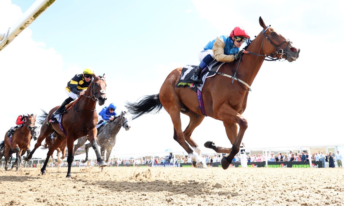 Marvelman (black and yellow) chased home Paborus at Newcastle on Saturday