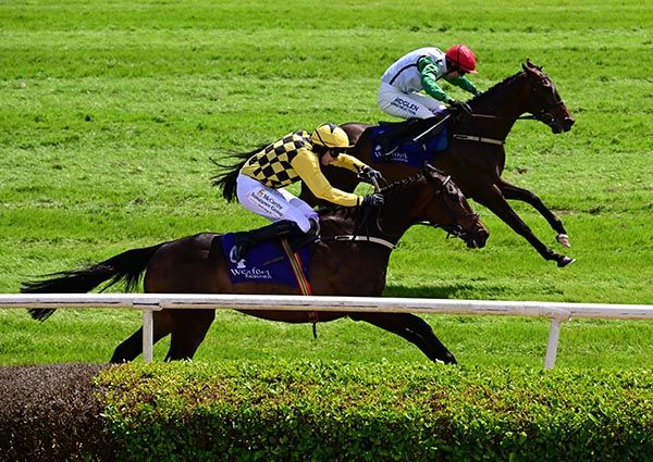 Soir De Garde and Sean O Keeffe 