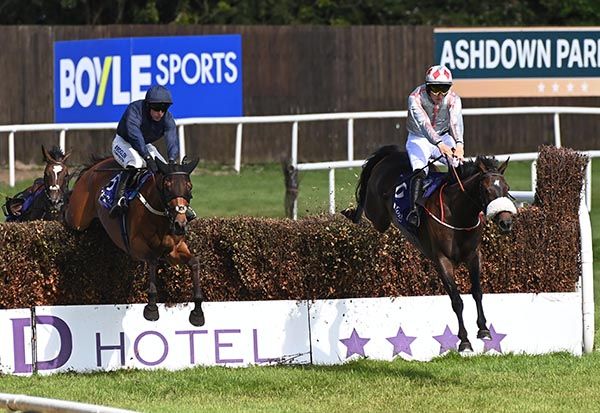 Lady Bluebird (right) jumps two out upsides Future Prospect