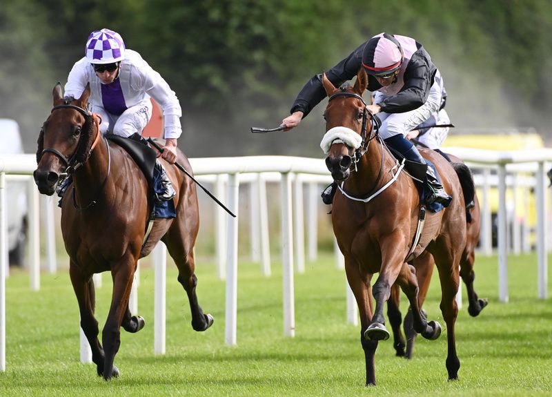 Damsel In Distress and Ben Coen( right) beat Sea Of Rain