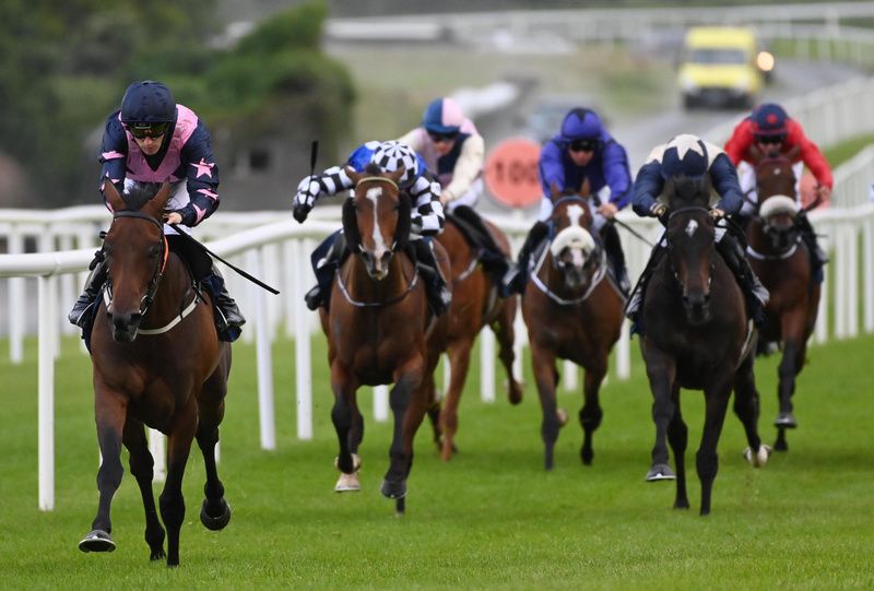 Bosphorus Road wins readily 