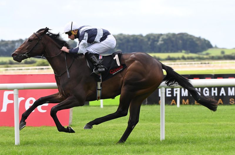 Alpha and Ryan Moore 